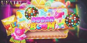 SUGAR BLOOM